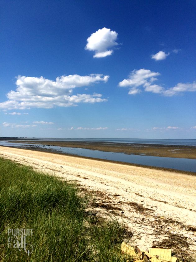 Take A Family Vacation In Slaughter Beach, DE - Pursuit of it All