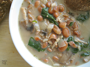 Pinto Bean & Chicken Stew