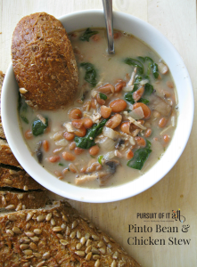 Pinto Bean & Chicken Stew: a perfect hearty meal that'll warm you to the bone!