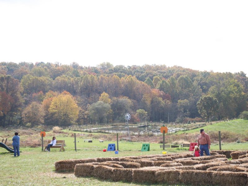 Fun Fall Activities To Try Nearby - East Coast Fall