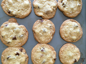 Coconut Chocolate Chip Cookies - easy to make and oh so good!