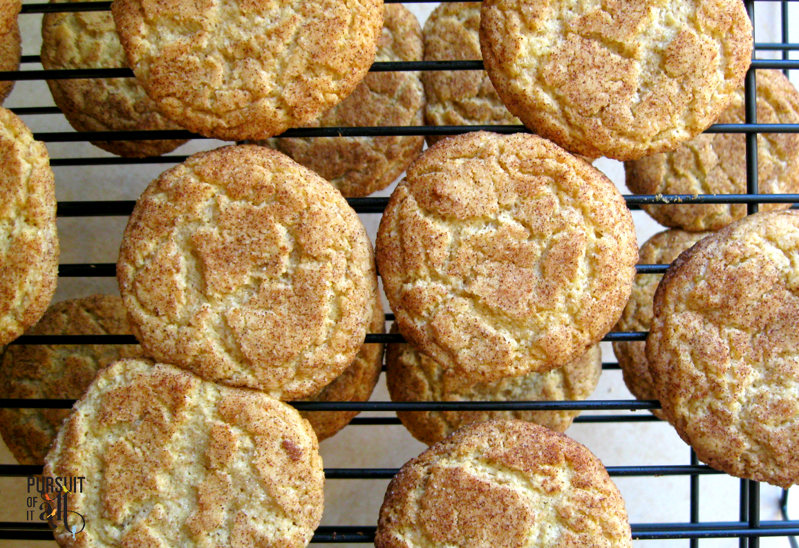 Homemade Snickerdoodles are THE BEST!