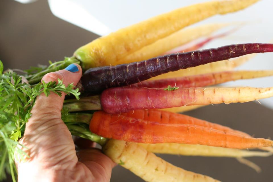 Eat Local: Rainbow carrots grown organically in Maryland.