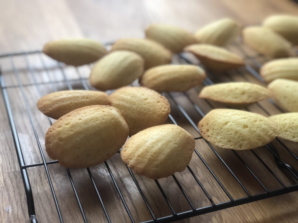 making your first madeleines