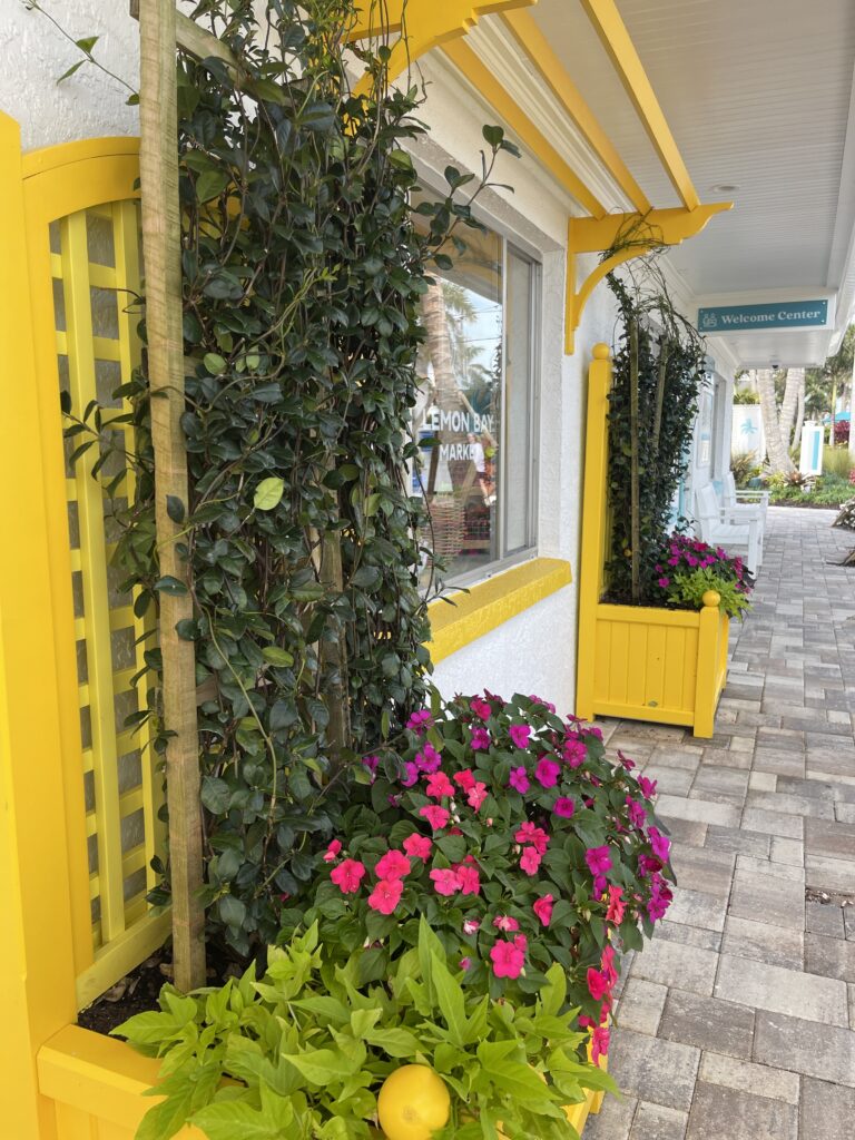Florida's Manasota Key Resort Lemon Bay Market
