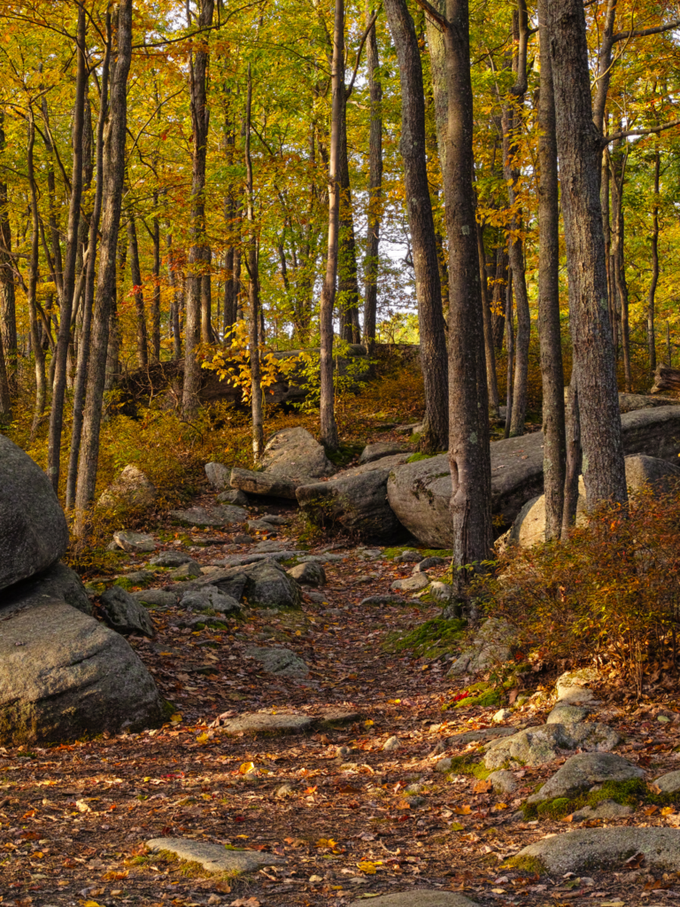 hiking in maryland